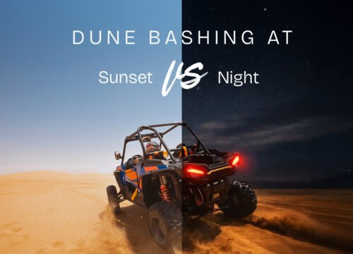 Dune Bashing at Sunset vs Night: Which Is More Exciting? 
